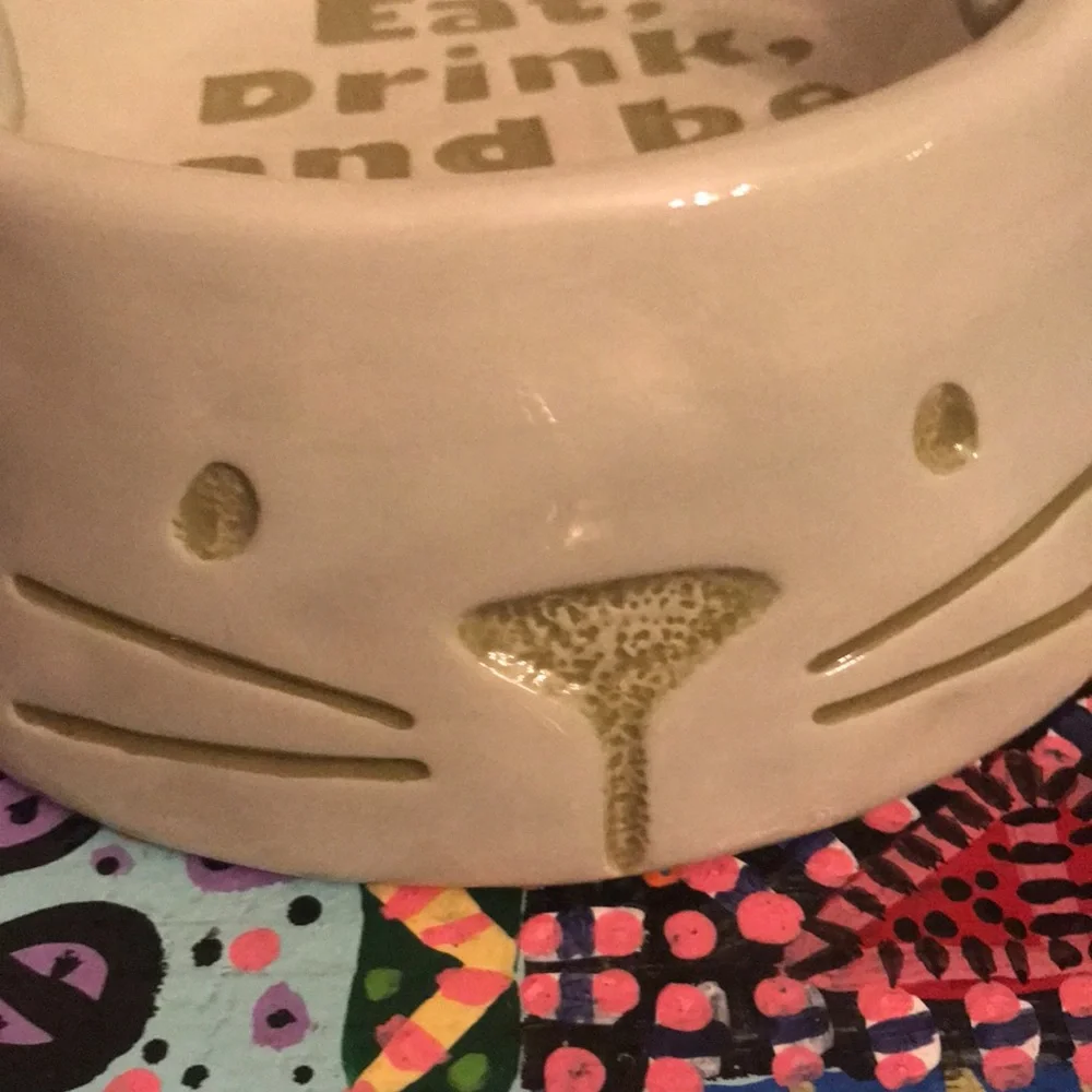Dog Bowl- Ceramic- NIB